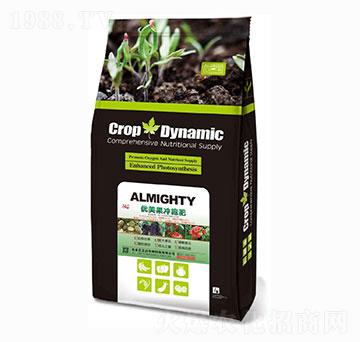 ��(y��u)�����_ʩ��-���_(d��)����