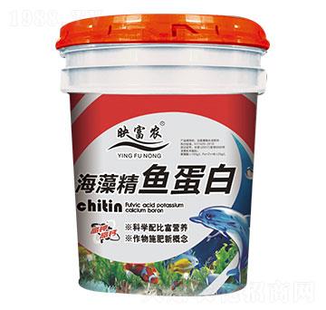 ���徫�~(y��)����-ӳ���r(n��ng)-���_(d��)����