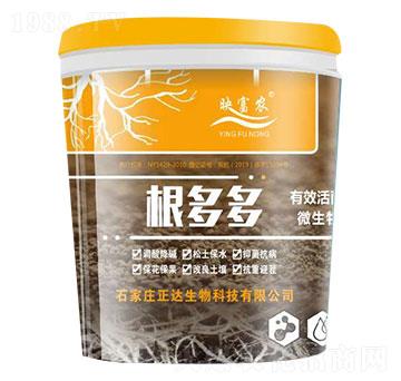 �����-ӳ���r(n��ng)-���_(d��)����