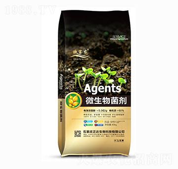 ΢�������-ӳ���r(n��ng)-���_(d��)����