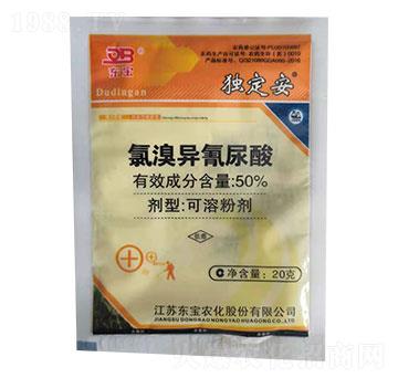 50%���宐������-������-�|��