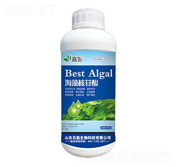 ���������-ؐ������