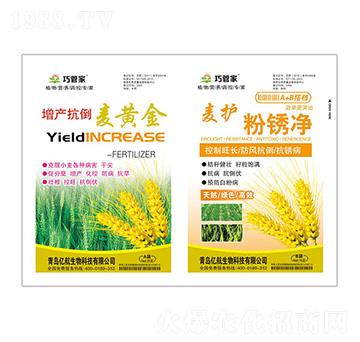 ���a(ch��n)�������S��+���o���P��-ؐ������