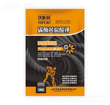 ̼ø�S�����-ؐ������