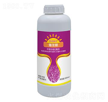 1000ml���l(f��)��-��ӽ�ˮ-��巉�(m��ng)