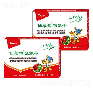 ������-�ɲ���-��巉�