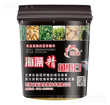 ���徫�~(y��)����-�~����-��������