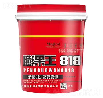 ���}��������818-��������