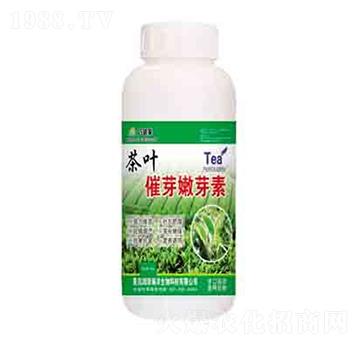 ���~��ѿ��ѿ�� ����