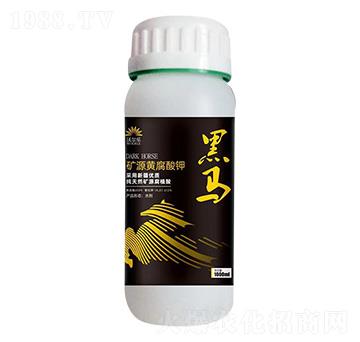 �VԴ�S�����-���R-�֠���(l��)