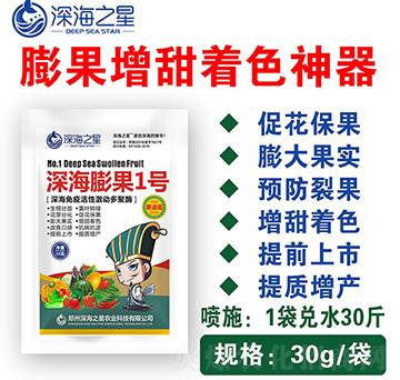 ����1̖(h��o)-�֮��