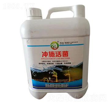 �_ʩ���-��������