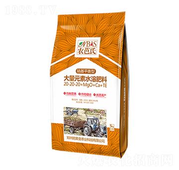 ����ƽ���ʹ���Ԫ��ˮ�ܷ���20-20-20+MqO+Ca+TE-�r����-���S��