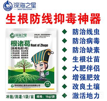 ��������1̖(h��o)-���T��-�֮��