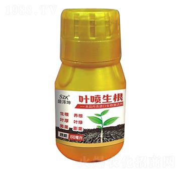 �~������ ʢ����