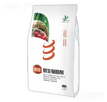 ΢������� ���� ���ƻ���