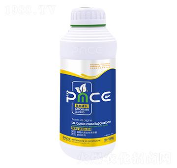 ��˹���L(zh��ng) ����˹