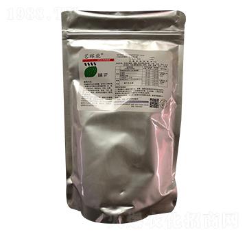 ��������̼��� ˇ���� ʥ�����