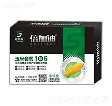 �����ײ�1�6 ��˹��