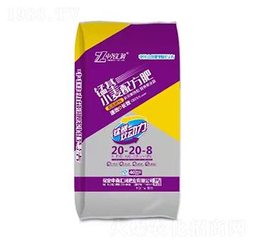 С���䷽��20-20-8 �i�� �Ј�R��(r��n)