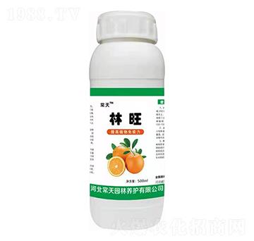 ���� ����