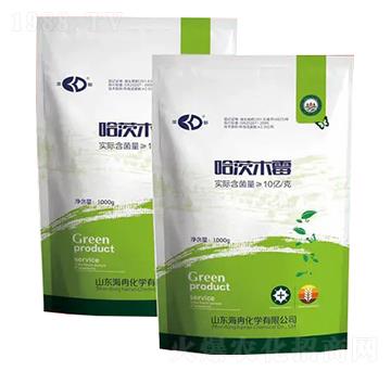 ΢������� ����ľù ��Ƚ���W