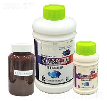 Ӣ��˼���ձ������~���� ���(gu��)�r(n��ng)�I(y��)