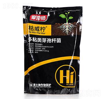 ��ճ�ѿ�ߗU�� ������ Ħ�؎�