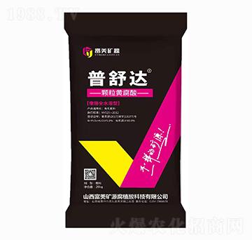 �����_(d��) �w���S���� ����