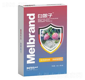 �׷۲����P����Ч ������ ������