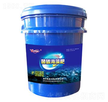 ��̼����� �Ý��S