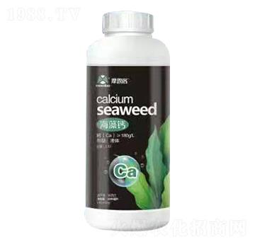 �����} Ħ����