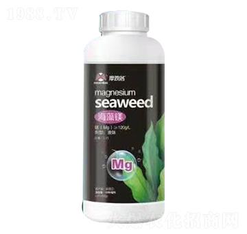 �����V Ħ����