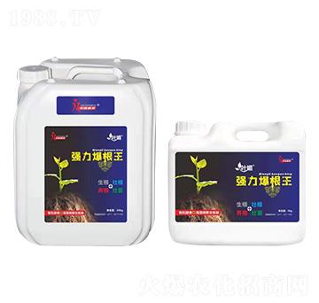 ����������-�~��-�s��ֲ��