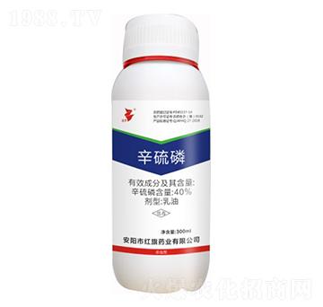 40%������-���A-�t��ˎ�I(y��)