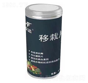 ����Ƭ �~���_