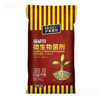 ΢�������-������-�o��