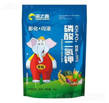 �������� �Z֮ɭ