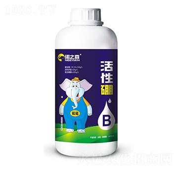 ������ �Z֮ɭ