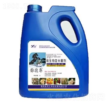 ΢�����(f��)�Ͼ��� �G�E�R��Ͱ�� ����