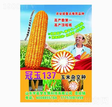 �����s���N ����137 �����(m��ng)����