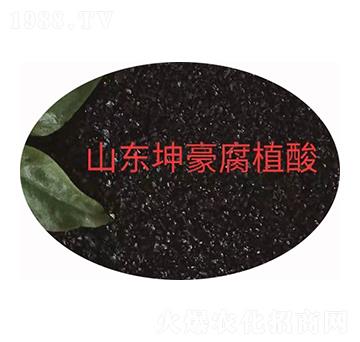 45%�S����⛺��S���� ����