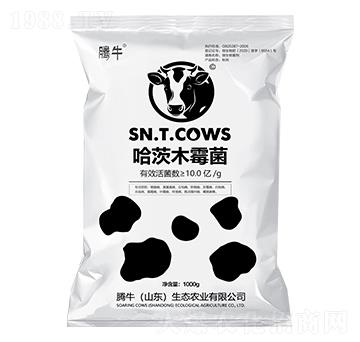 ����ľù��-�vţ