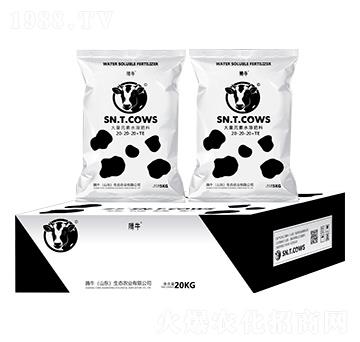 ����Ԫ��ˮ�ܷ���20-20-20+TE-�vţ