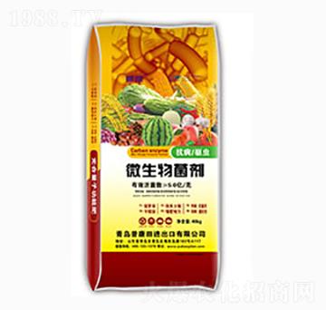 ΢�������-����-�տ���