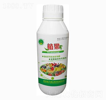 12Ԫ�ؠI�B(y��ng)���w��-ֲ��-������