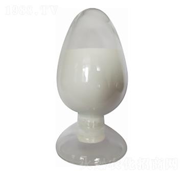 ���w�״��c ��R���S