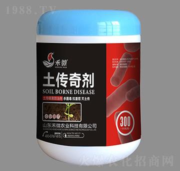 �����������΄�-�����愩-��΢