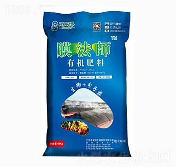 �ЙC(j��)����-Ĥ����-˼����