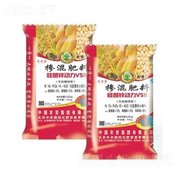 ���B(t��i)��Ч�͓������ ��˼���ʘI(y��)